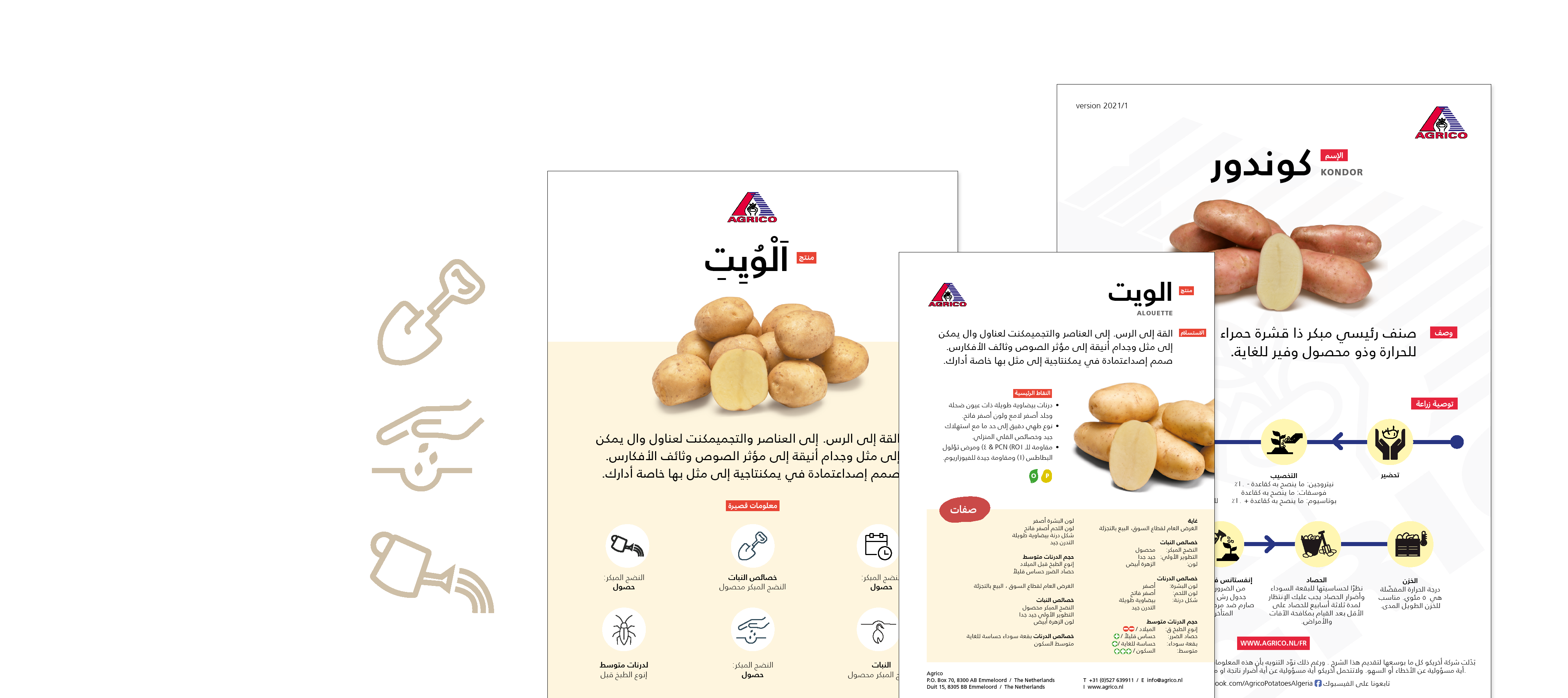 Teeltbeschrijvingen aardapappels voor Noord-Afrika